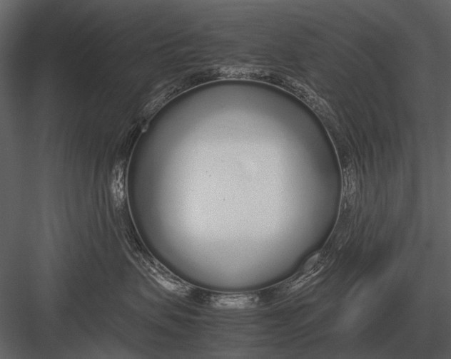 X0000083000479200702230131