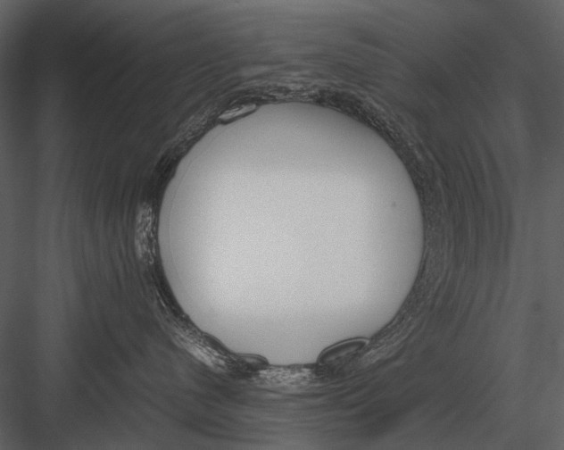 X0000083000480200702230131