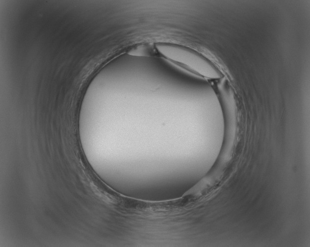 X0000083000481200702230131