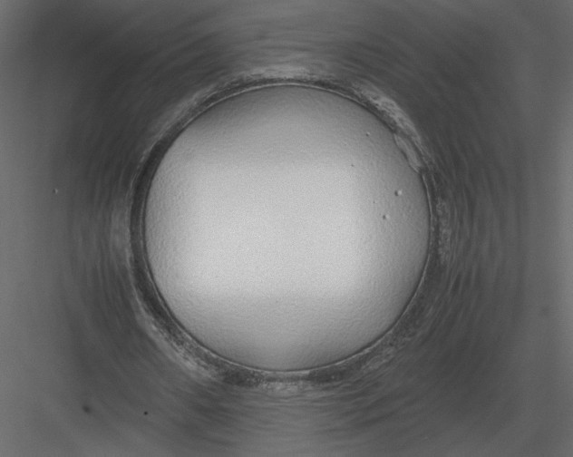 X0000083000482200702230131