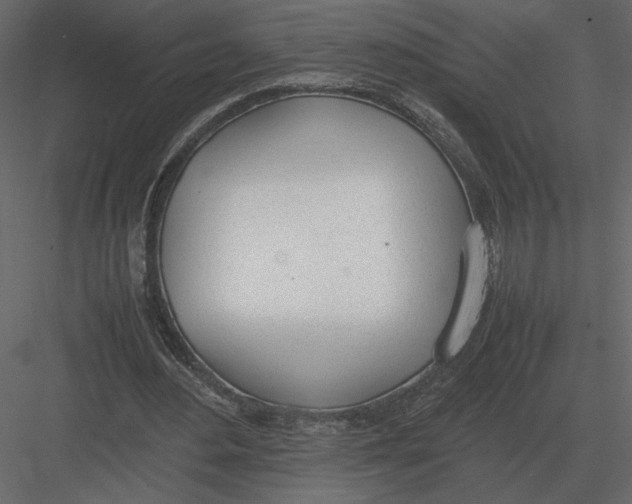 X0000083000484200702230131