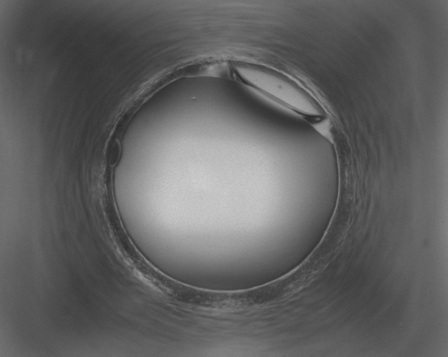 X0000083000485200702230131