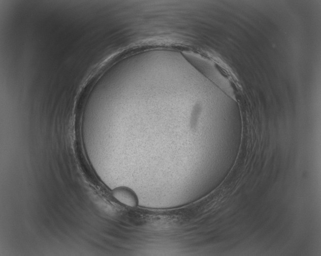 X0000083000486200702230130