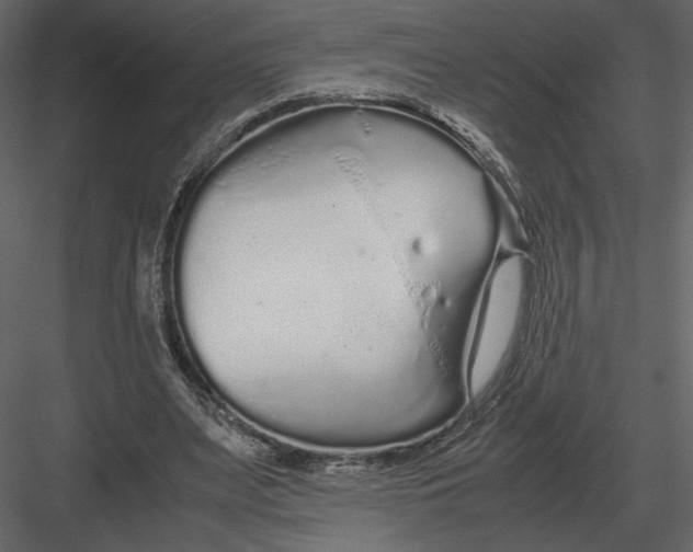 X0000083000487200702230130