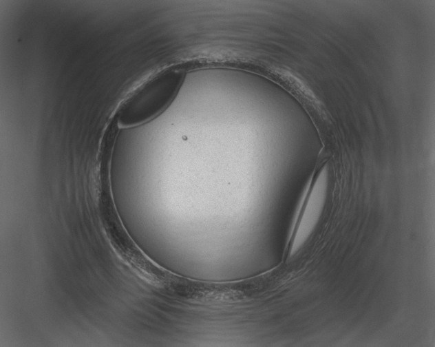 X0000083000488200702230130