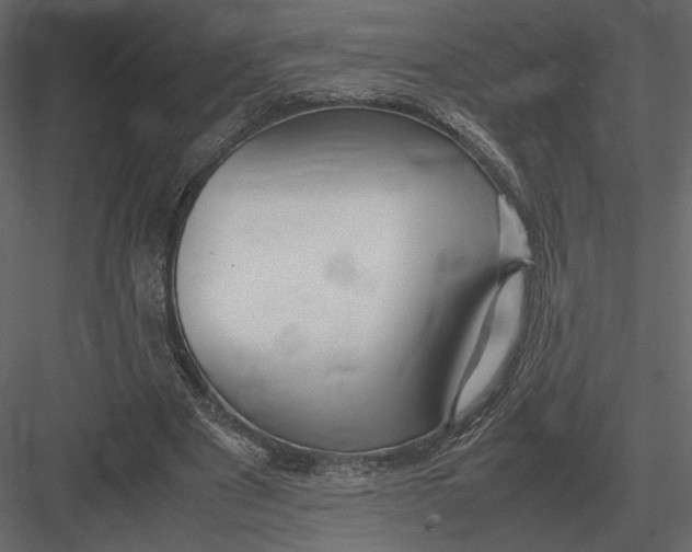 X0000083000489200702230130