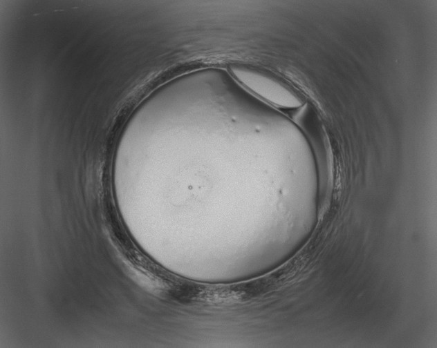 X0000083000491200702230130