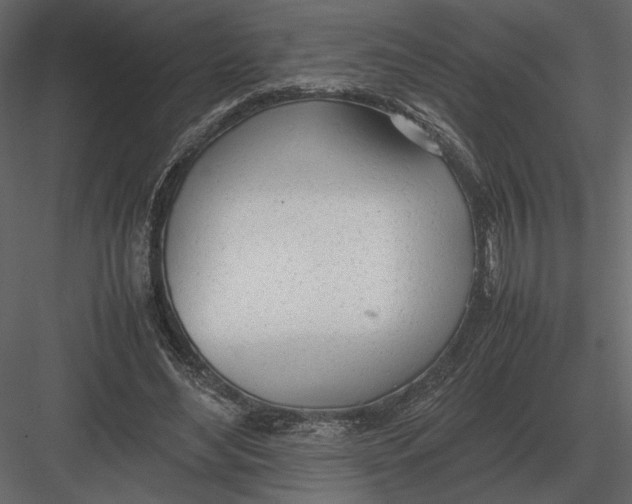 X0000083000492200702230130