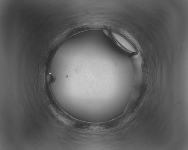 X0000083000493200702230130