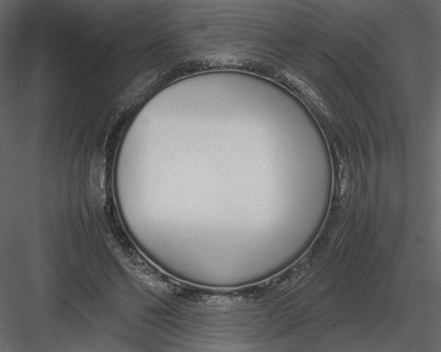 X0000083000494200702230130