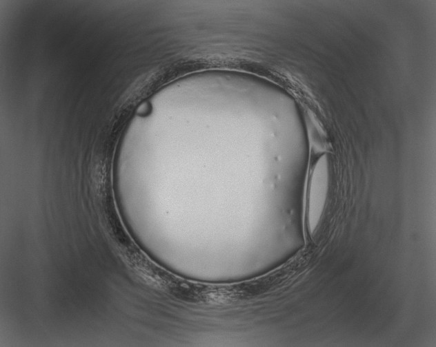 X0000083000495200702230130