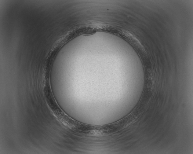 X0000083000496200702230130