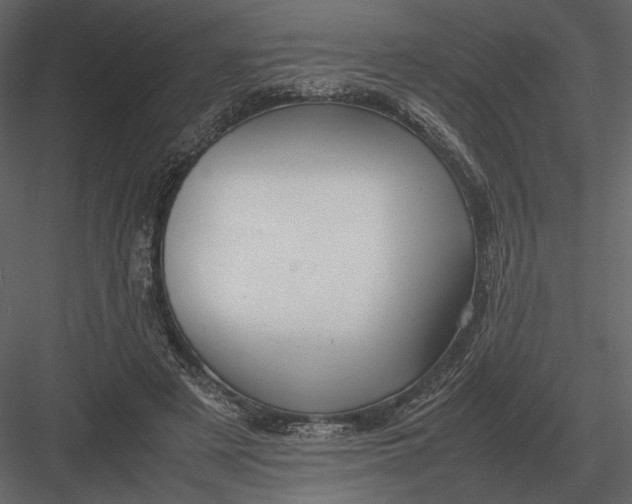 X0000083000497200702230130