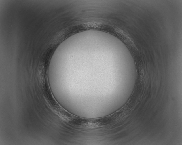 X0000083000498200702230130