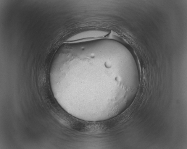 X0000083000499200702230130