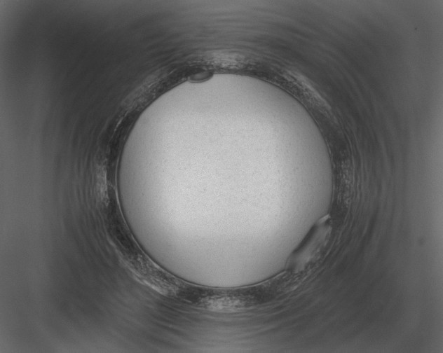 X0000083000500200702230130