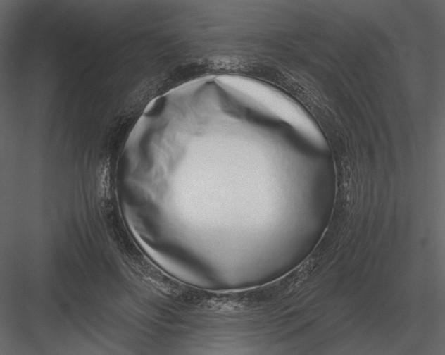 X0000083000502200702230130