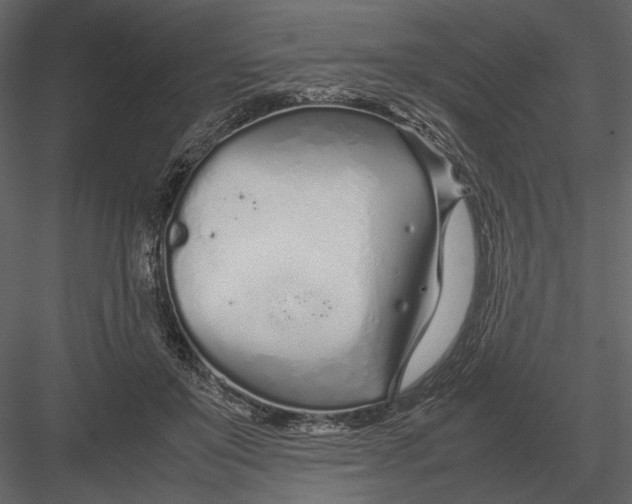 X0000083000503200702230130