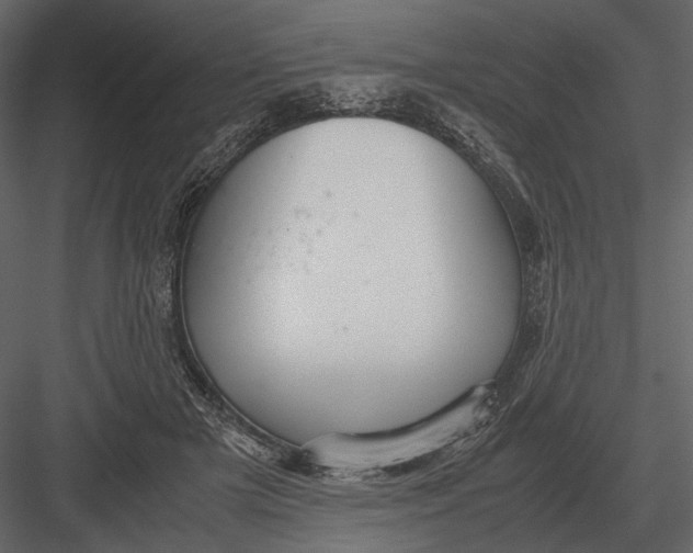 X0000083000505200702230130