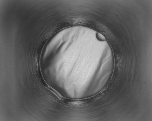 X0000083000506200702230130