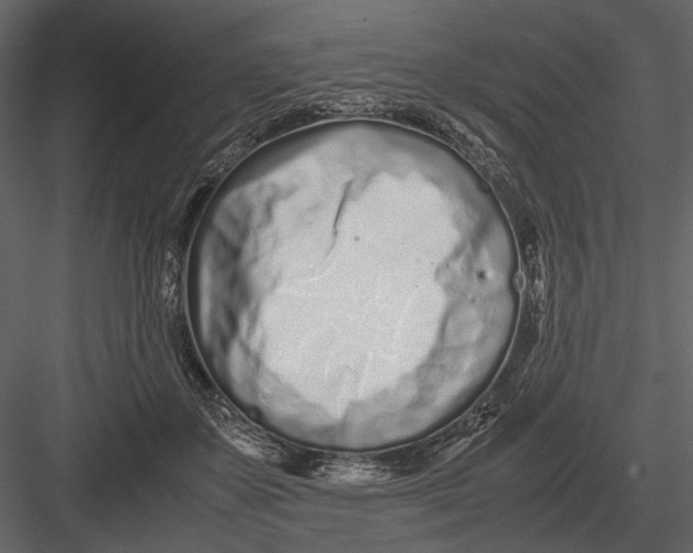 X0000083000507200702230130