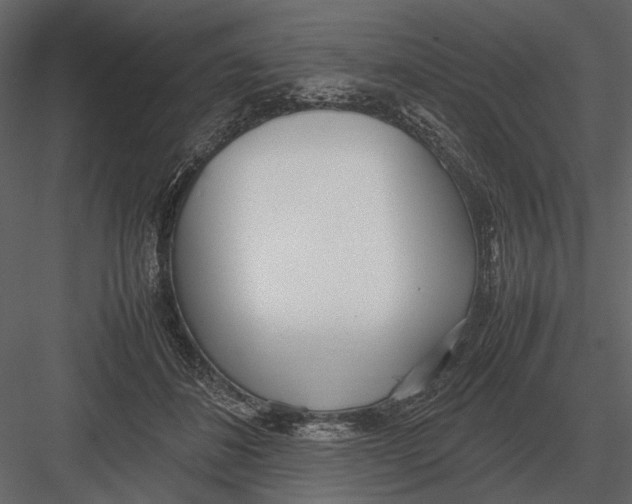 X0000083000508200702230130