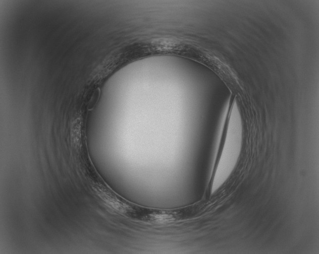 X0000083000509200702230130