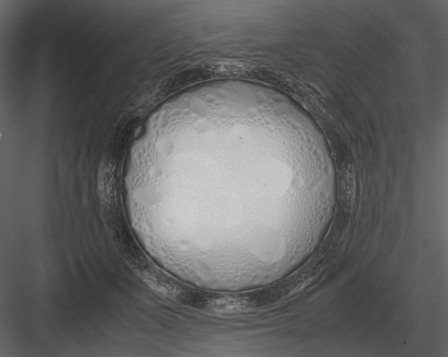 X0000083000511200702230130