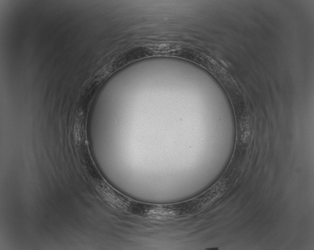 X0000083000515200702230130