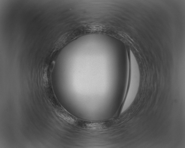 X0000083000516200702230130