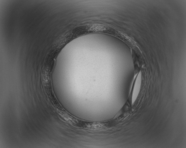 X0000083000517200702230130