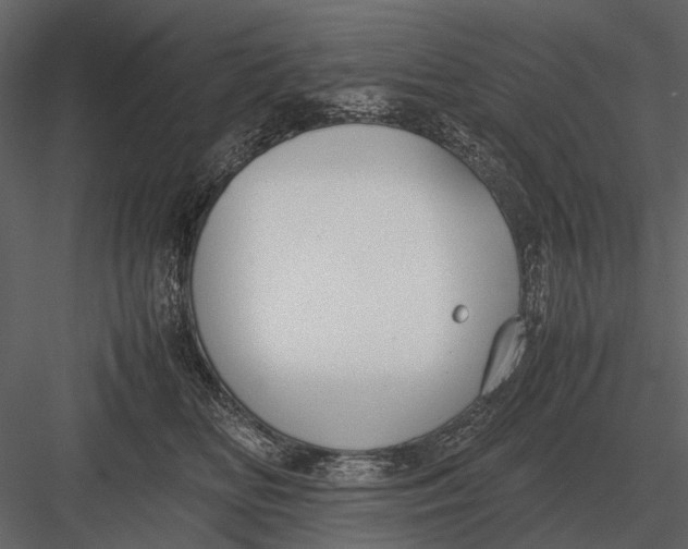 X0000083000518200702230130