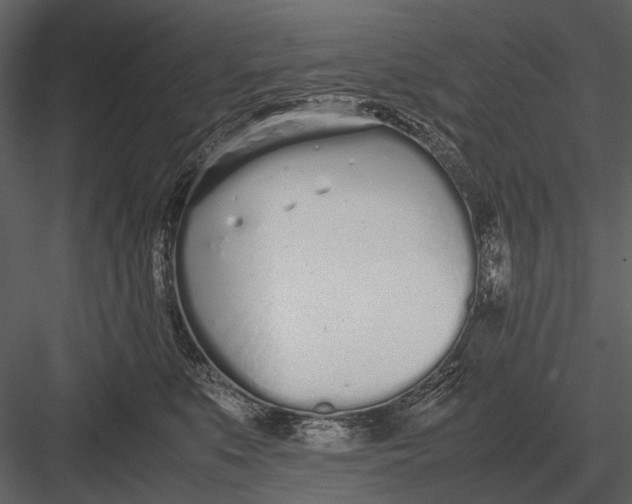 X0000083000519200702230130