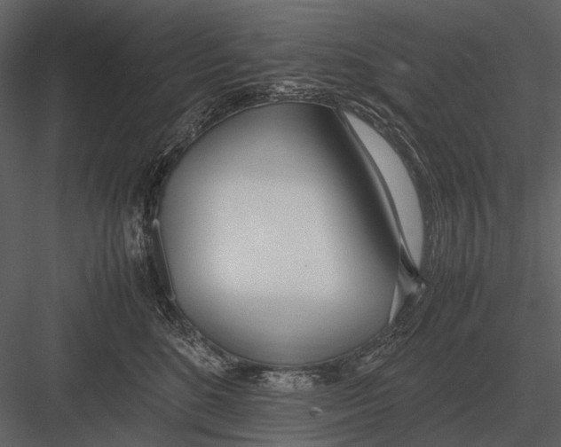 X0000083000520200702230130