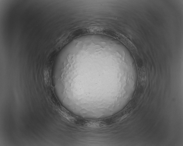 X0000083000523200702230130