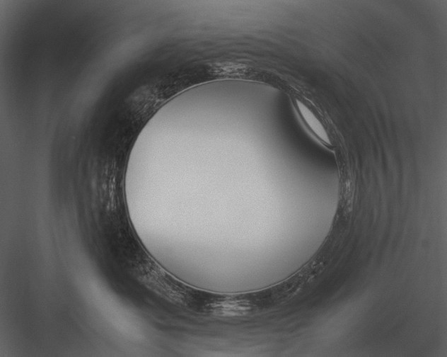 X0000083000525200702230130