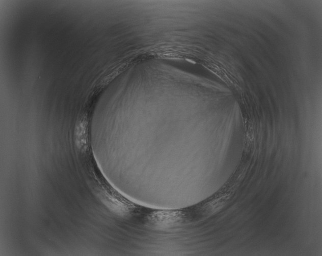 X0000083000526200702230130