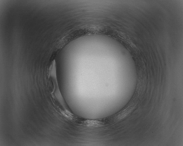 X0000083000528200702230130