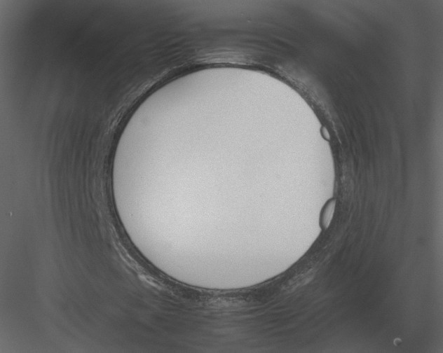 X0000083000529200702230129