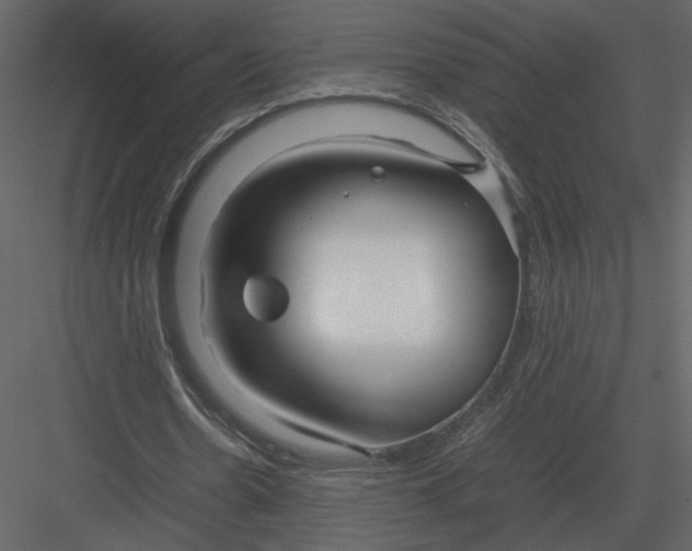 X0000083000530200702230129