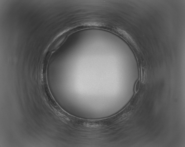 X0000083000531200702230129