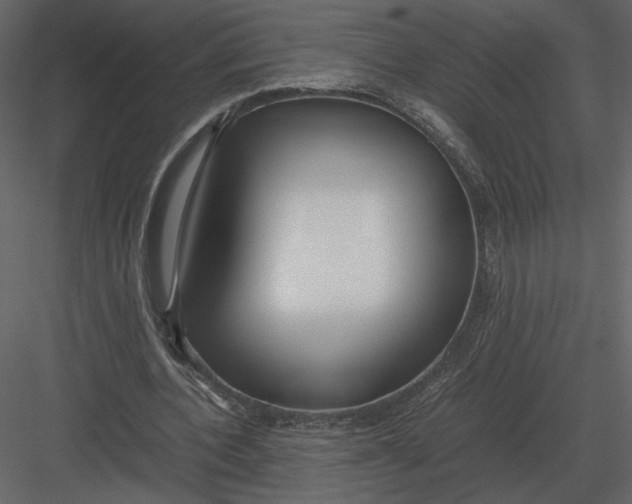 X0000083000532200702230129