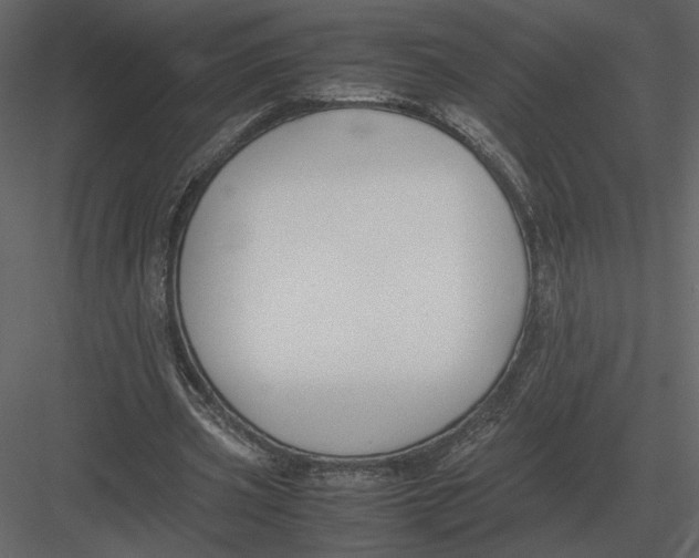 X0000083000533200702230129