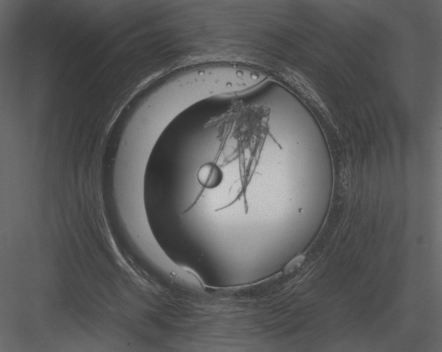 X0000083000534200702230129