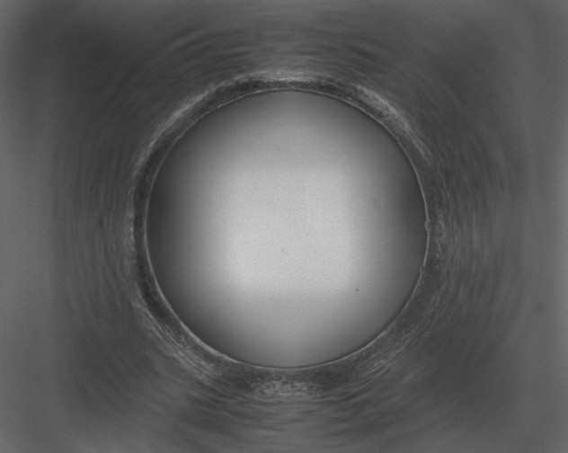 X0000083000535200702230129