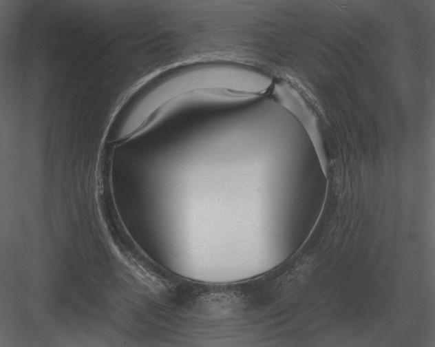 X0000083000536200702230129