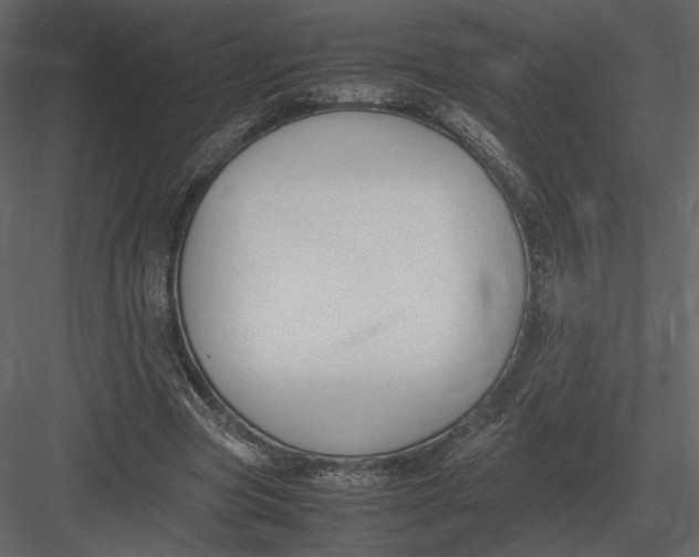 X0000083000537200702230129