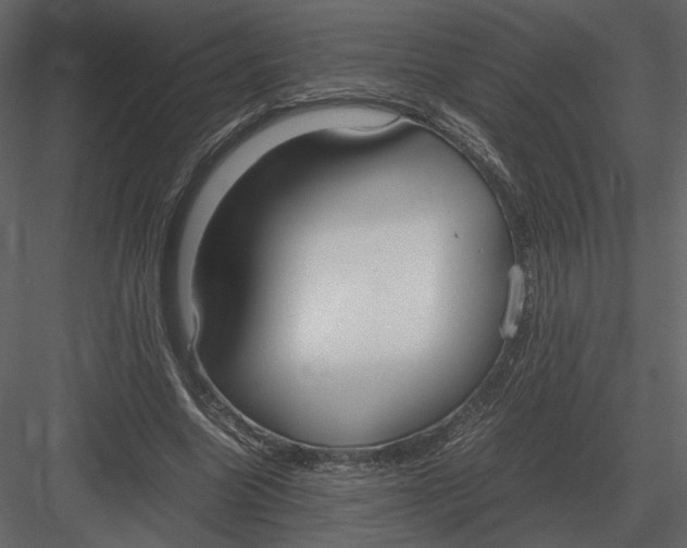 X0000083000538200702230129