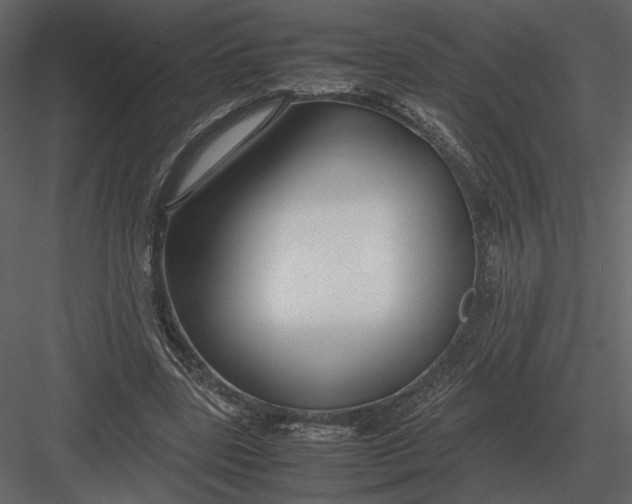 X0000083000539200702230129