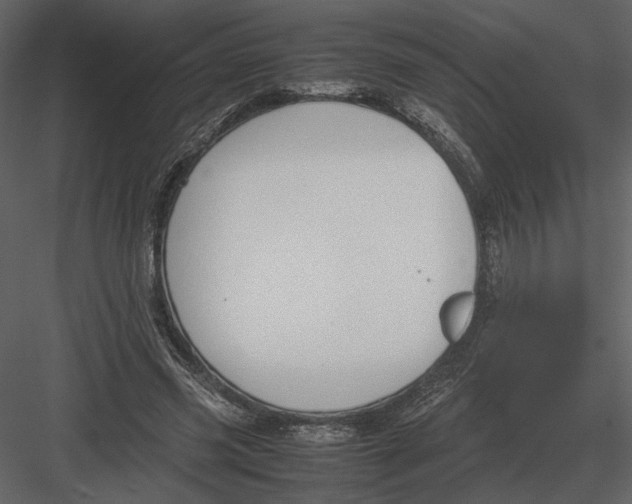 X0000083000541200702230129